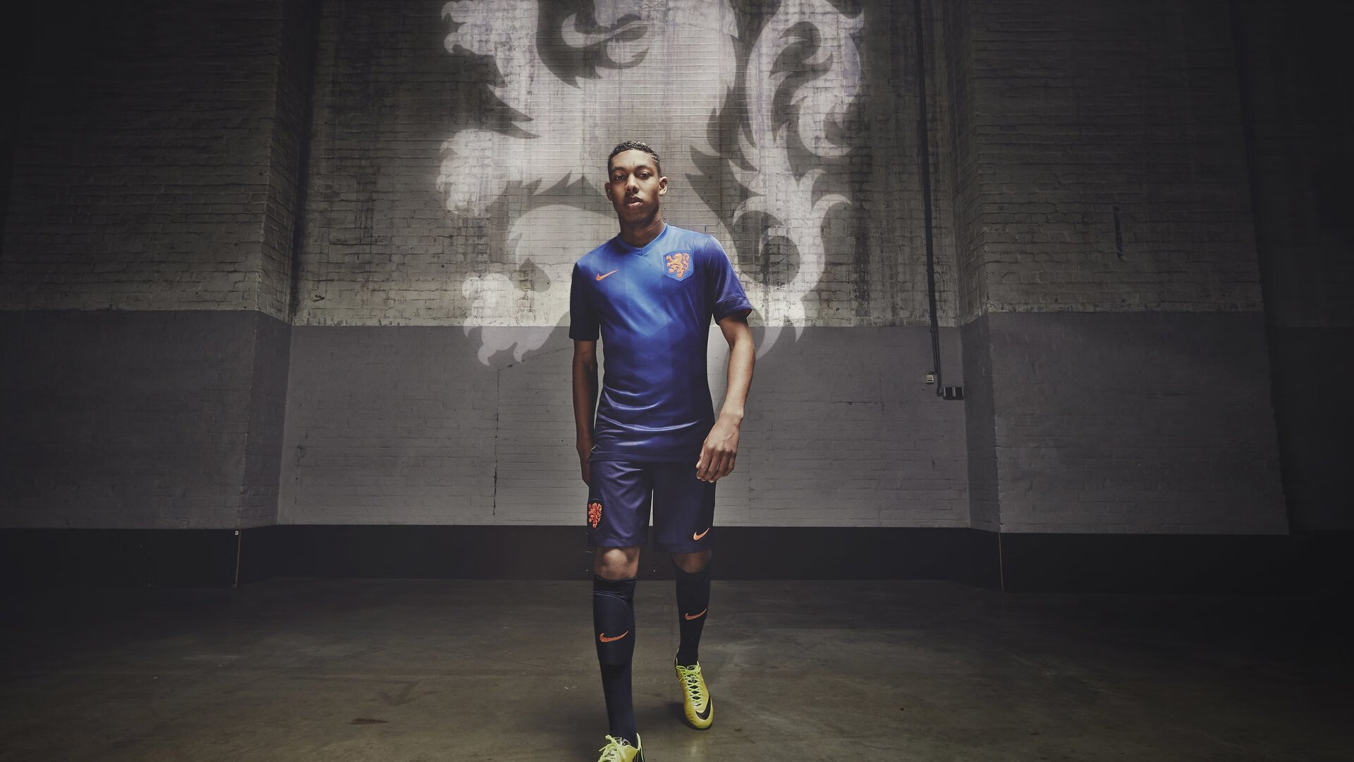 开云网页版登录入口-伊朗马术协会举办马匹护理培训班,提高骑手护理技能。,伊朗电影 马